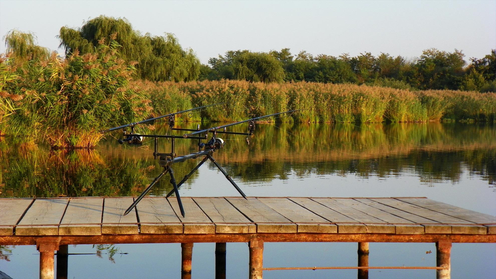 Boiliesmania - 2011 - 1000140.JPG